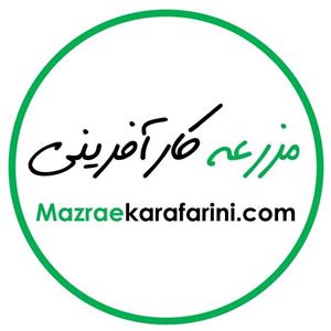 لوگوی بازار کشاورزی آنلاین مزرعه کارآفرینی